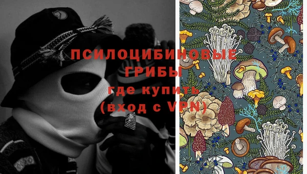 a pvp Алзамай