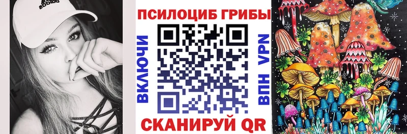 blacksprut маркетплейс  продажа наркотиков  Нарткала  Псилоцибиновые грибы мицелий 